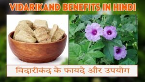 Vidarikand Benefits in Hindi | विदारीकंद के फायदे और उपयोग