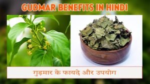 Gudmar Benefits in Hindi | गुड़मार के फायदे और उपयोग