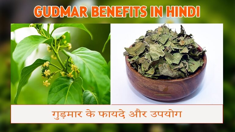 Gudmar Benefits in Hindi | गुड़मार के फायदे और उपयोग