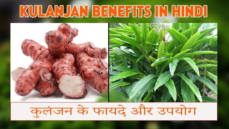 Kulanjan Benefits in Hindi