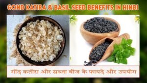Gond Katira & Basil Seed Benefits in Hindi | गोंद कतीरा और सब्जा बीज के फायदे और उपयोग