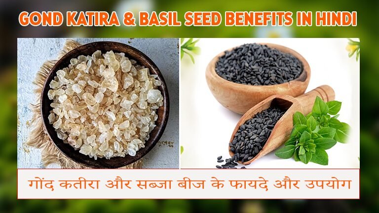 Gond Katira & Basil Seed Benefits in Hindi | गोंद कतीरा और सब्जा बीज के फायदे और उपयोग