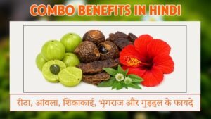 रीठा, आंवला, शिकाकाई, भृंगराज और गुड़हल के फायदे | Combo Benefits in Hindi
