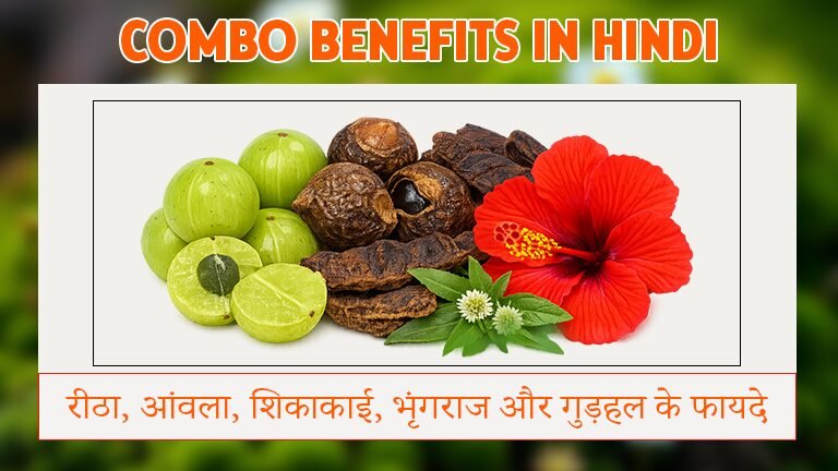 रीठा, आंवला, शिकाकाई, भृंगराज और गुड़हल के फायदे | Combo Benefits in Hindi