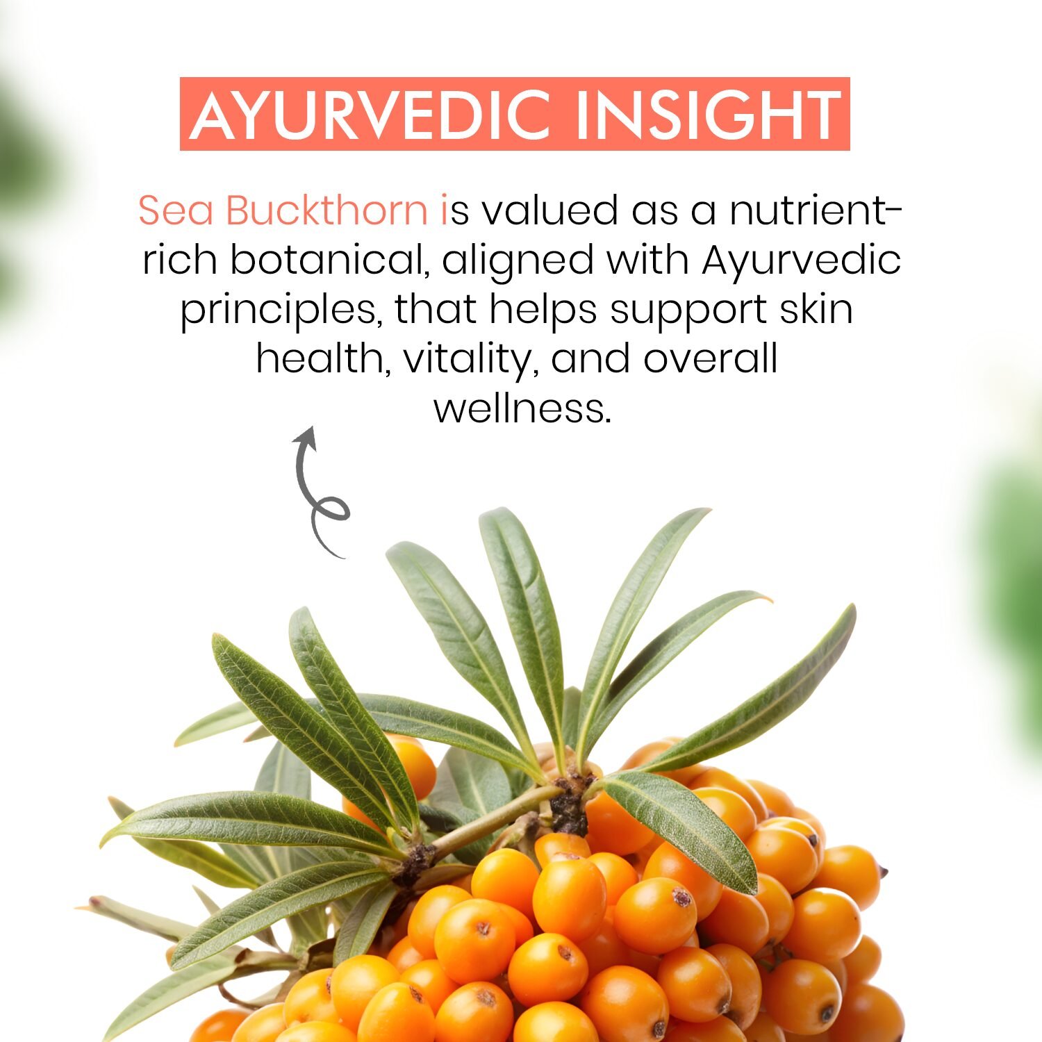 Sea Buckthron Ayurvedic