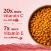 sea-buckthorn-berry-protein-rich-omega-vitamin