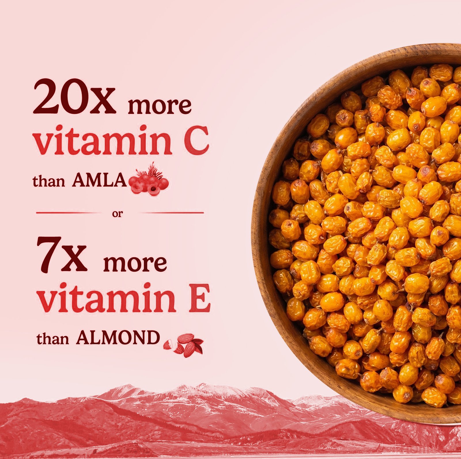 sea-buckthorn-berry-protein-rich-omega-vitamin