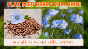 Flaxseed के फायदे: सेहत, त्वचा और बालों के लिए अलसी के फायदे और इस्तेमाल का तरीका