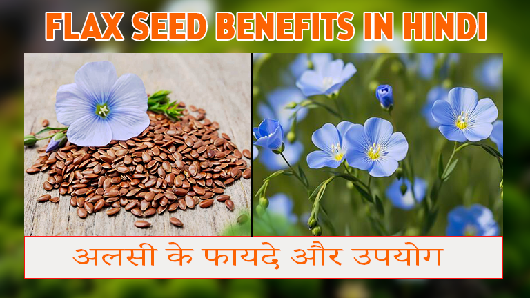 Flaxseed के फायदे: सेहत, त्वचा और बालों के लिए अलसी के फायदे और इस्तेमाल का तरीका