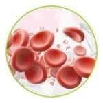 blood purify