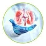 kidney care