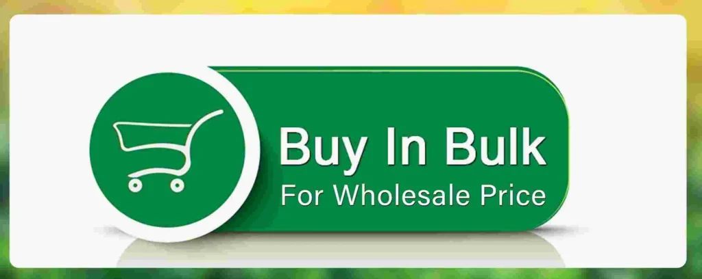 buy now